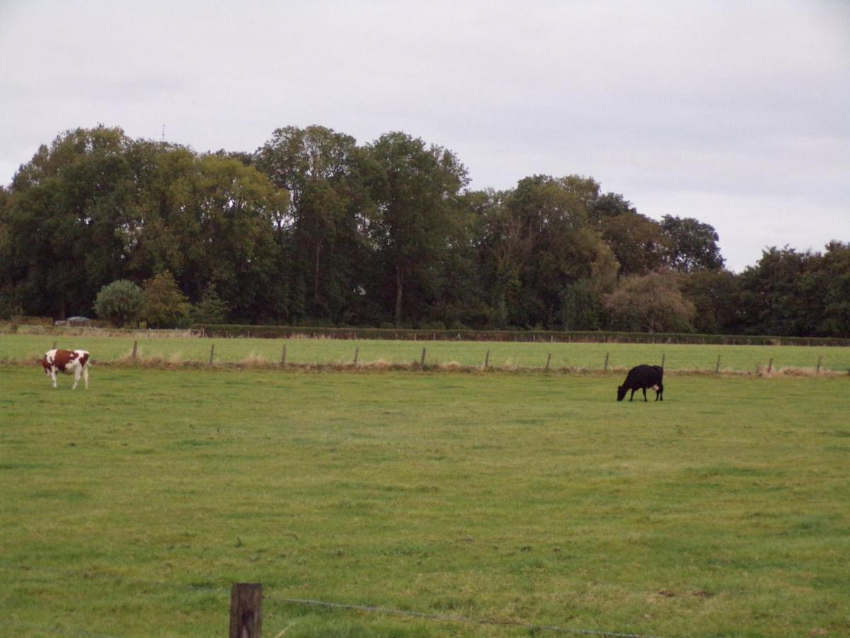 Riposo Villa Poperinge Buitenkant foto